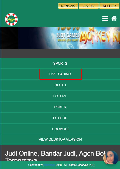 Panduan Permainan PT Casino Visitorbet Versi Mobile