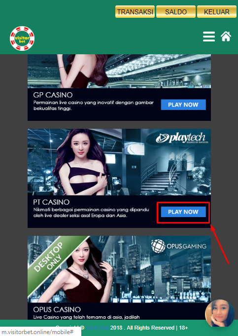 Panduan Permainan PT Casino Visitorbet Versi Mobile